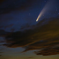 CDpx_00778
