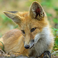 CDpx_00860