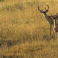CDpx_00874