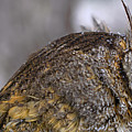 CDpx_01141